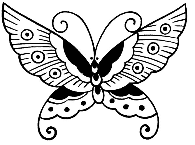 china butterfly